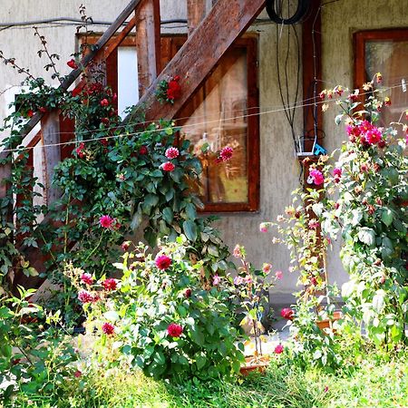 Nadia Guesthouse Местия Екстериор снимка