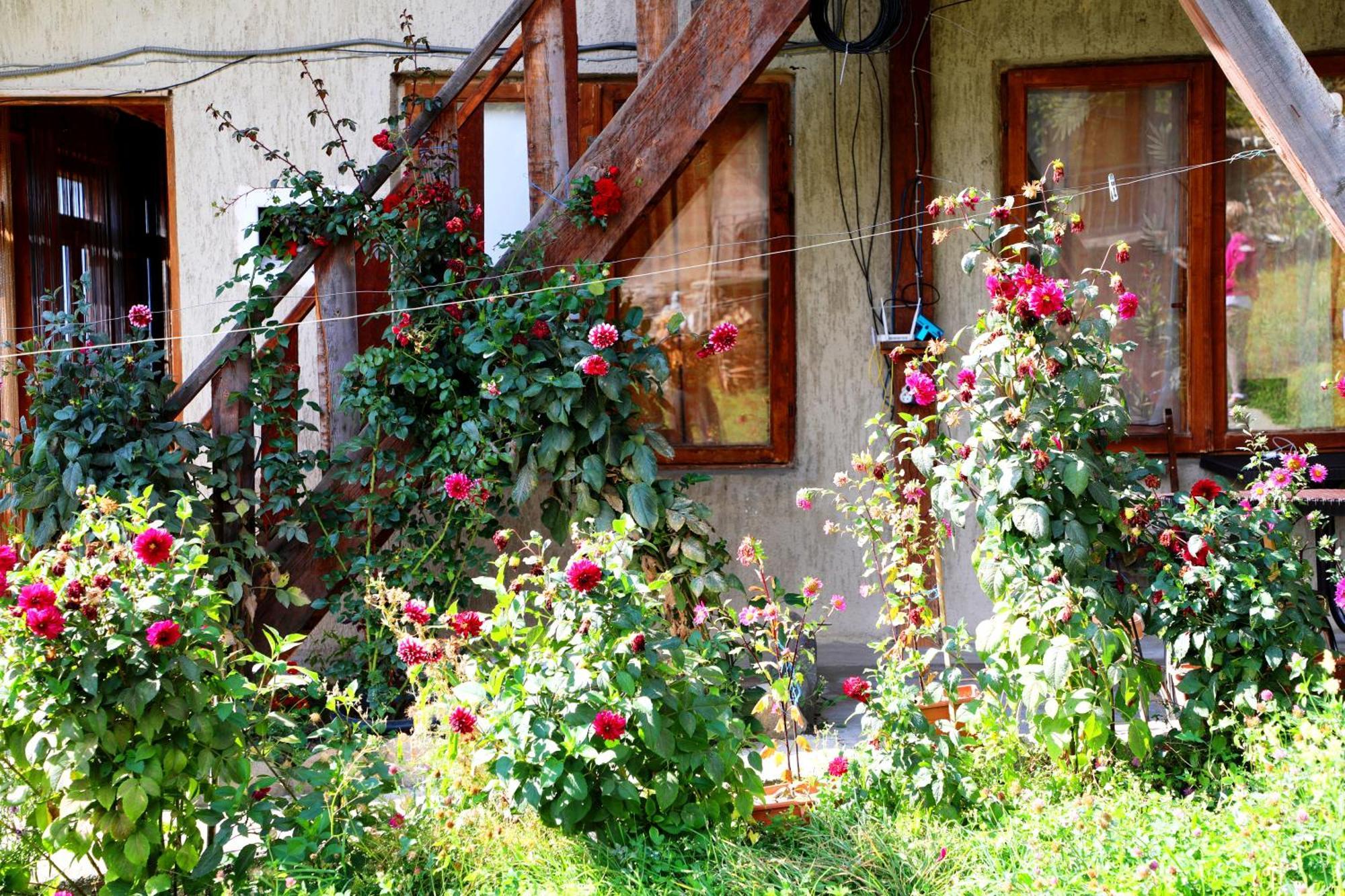 Nadia Guesthouse Местия Екстериор снимка
